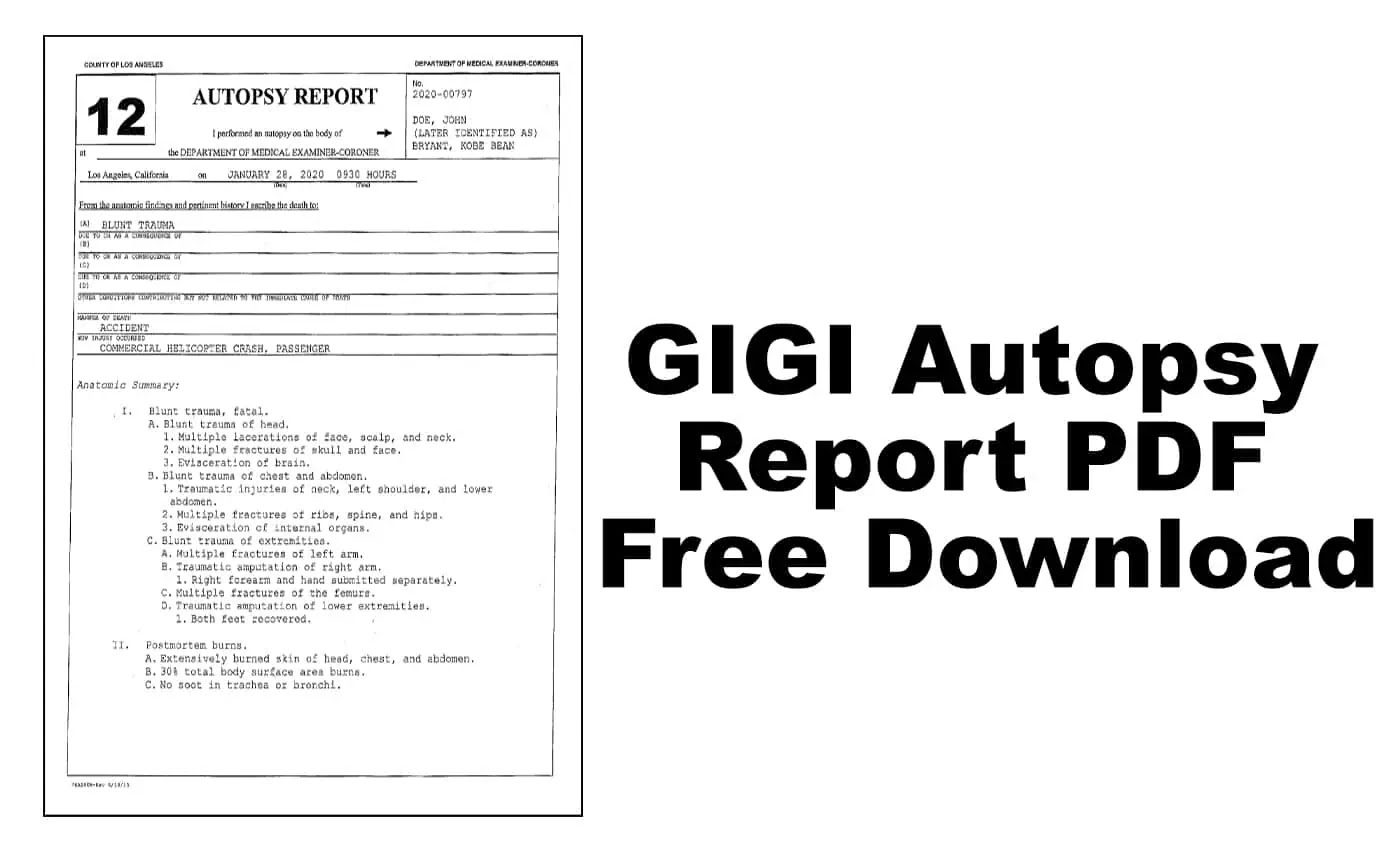 GIGI Autopsy Report PDF Free Download GIGI Autopsy Report PDF Free Download