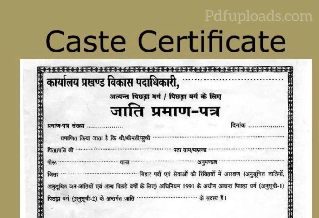 Caste Certificate Form Rajasthan PDF Hindi Caste Certificate Form Rajasthan PDF Hindi